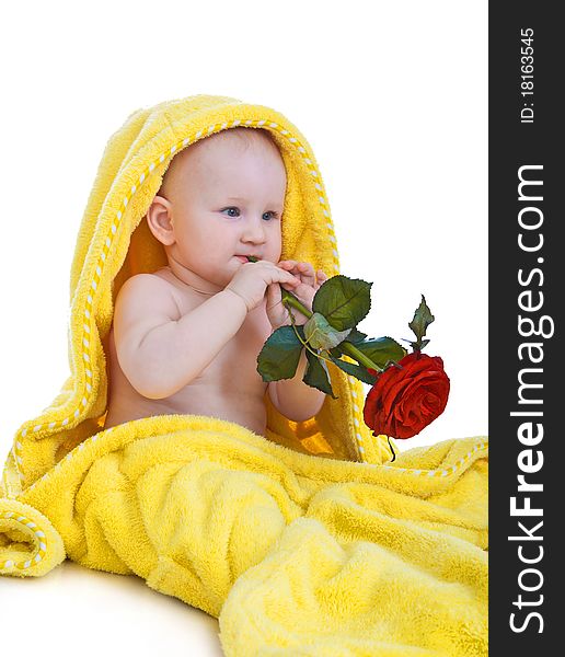 The child after bathing will wrap up a dressing gown with a red rose in hands isolated on a white background. The child after bathing will wrap up a dressing gown with a red rose in hands isolated on a white background