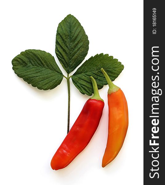 Two Red Hot Peppers and Green Leaves Isolated on White. Two Red Hot Peppers and Green Leaves Isolated on White