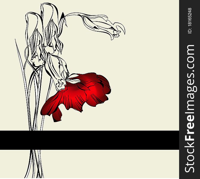 Template for card with red poppy flower