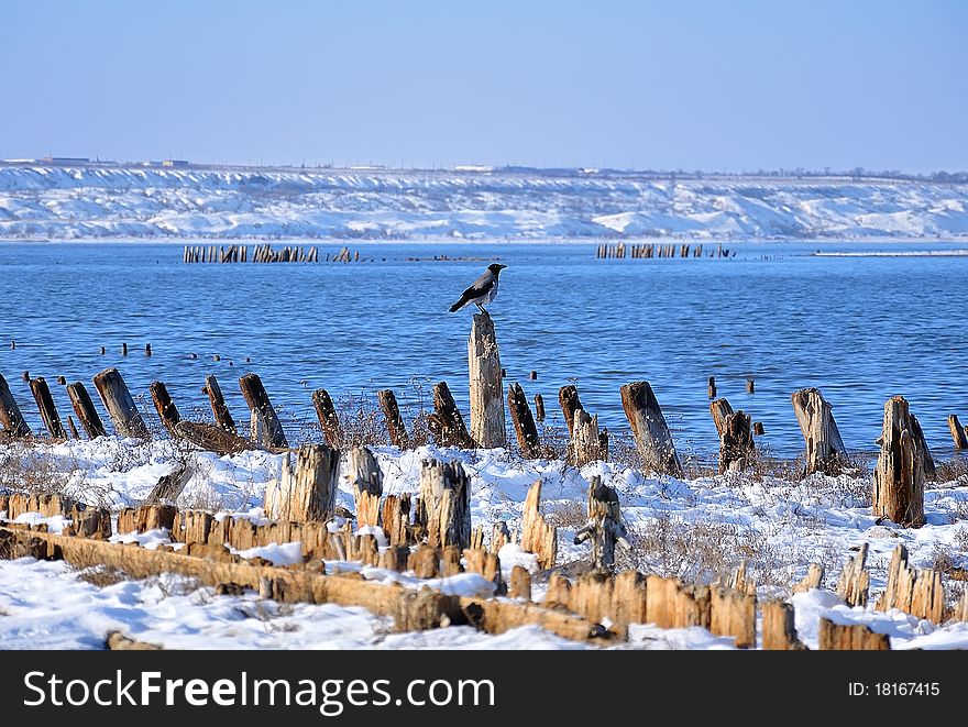 Winter landscape