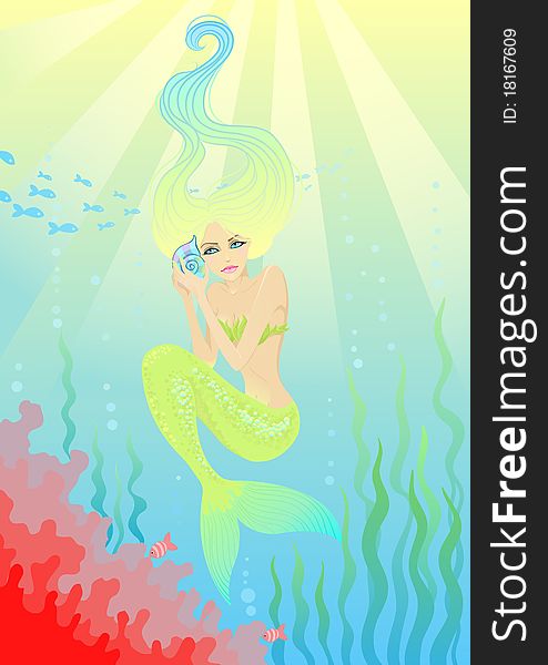 Beautiful mermaid with shell in hands. Vector illustration