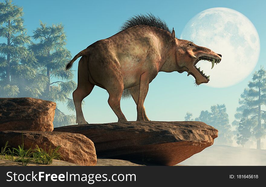 The Entelodon, or hell pig, is an extinct prehistoric pig or boar-like mammal that lived during the Eocene and Miocene, depicted in a landscape. 3D Rendering. The Entelodon, or hell pig, is an extinct prehistoric pig or boar-like mammal that lived during the Eocene and Miocene, depicted in a landscape. 3D Rendering