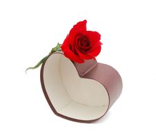 Present Box And Red Rose Stock Photo Present Box And Red Rose Stock Photo