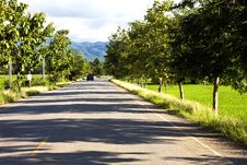 Road At Rice Farm In Mountain Background Stock Photo Road At Rice Farm In Mountain Background Stock Photo