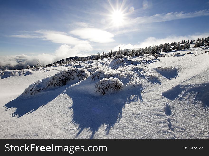 Beautiful winter landscape with fresh snow and sun