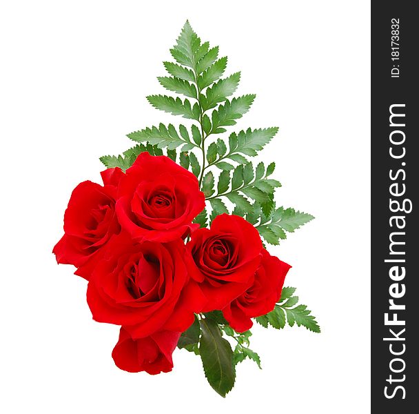 Two dozen red roses isolated