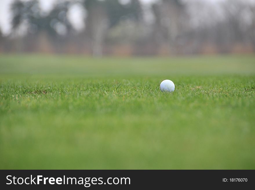 Golfball alone on grass in the summer