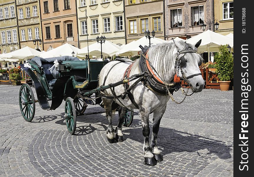 A European horse and carriage ready for tourists. A European horse and carriage ready for tourists