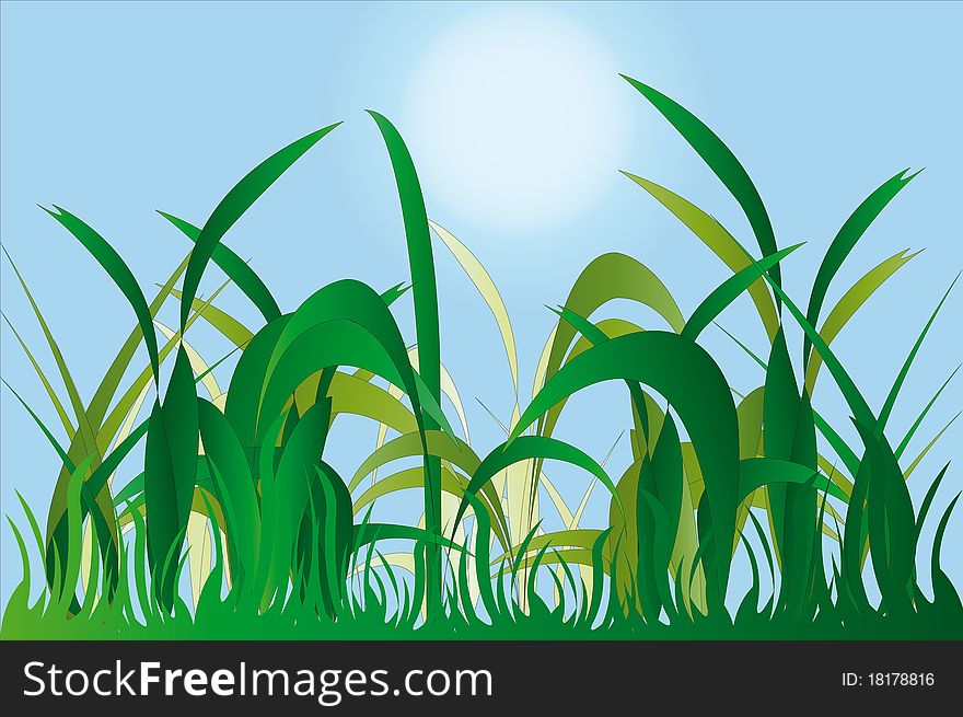 Vector illustration of grass against blue sky