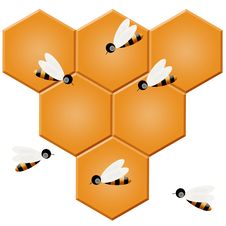 Honeycomb And Bees Royalty Free Stock Images