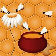 Honey And Bees Royalty Free Stock Photos Honey And Bees Royalty Free Stock Photos