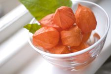 Physalis Flowers In A Bowl Royalty Free Stock Photo Physalis Flowers In A Bowl Royalty Free Stock Photo