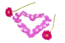 Pink Petals Heart With Two Flowers Stock Image Pink Petals Heart With Two Flowers Stock Image