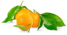 Isolated Tangerines Royalty Free Stock Photography