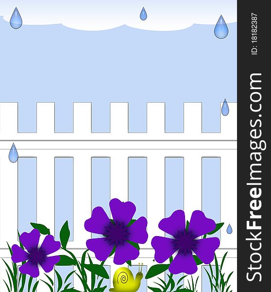 Rain falling on garden fence and purple flowers illustration. Rain falling on garden fence and purple flowers illustration