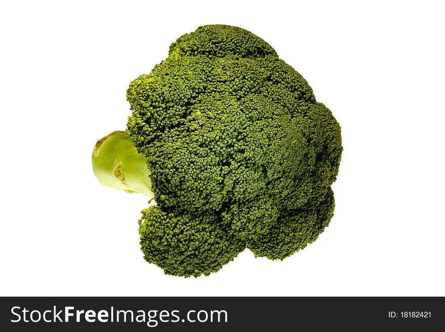 Isolated bunch of broccoli with white background