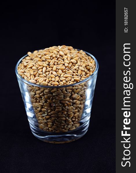 Wheat grains in the glass and black background