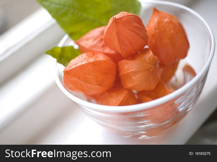 Physalis flowers in a bowl