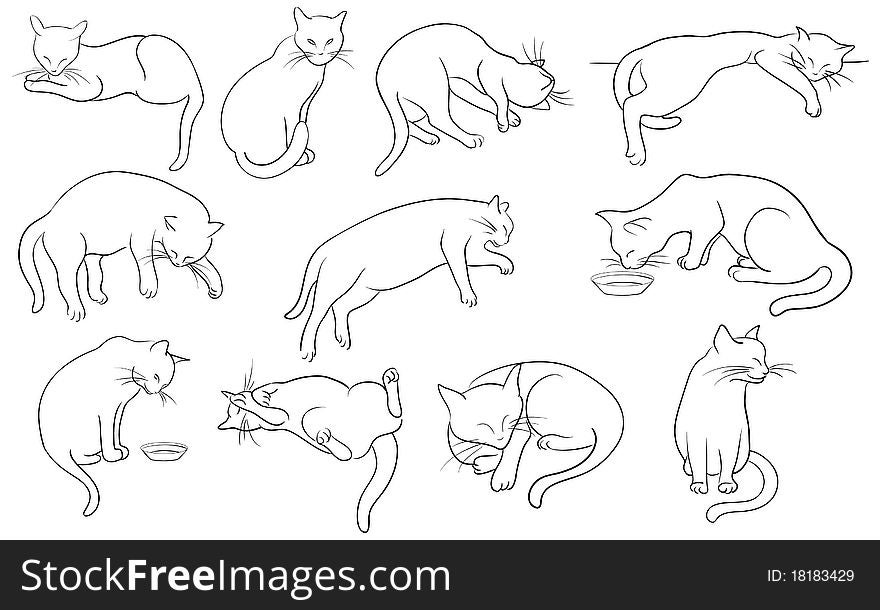 Set Of Line Cats Silhouette