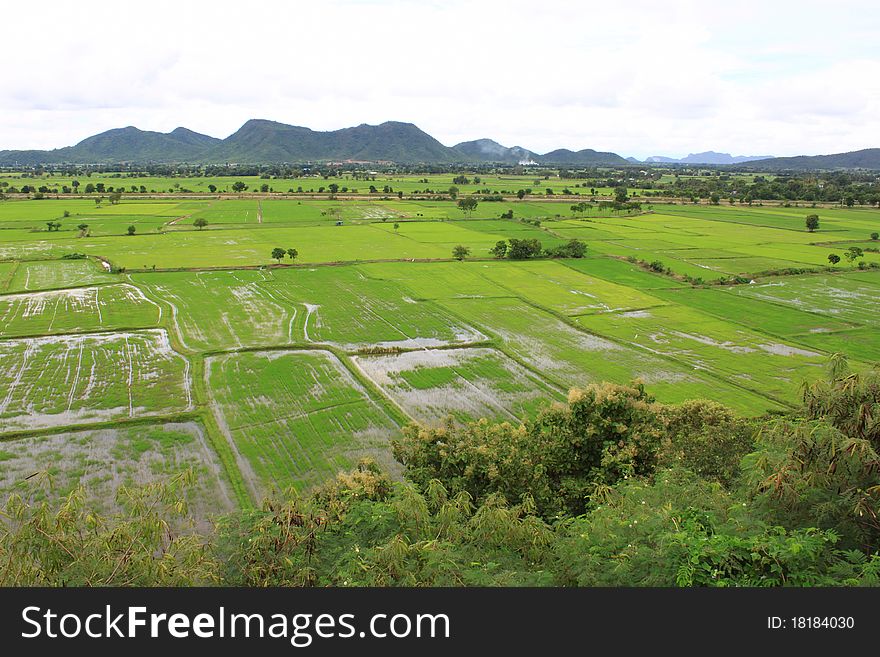 Rainy season and paddy field in Kanchanaburi province, Thailand