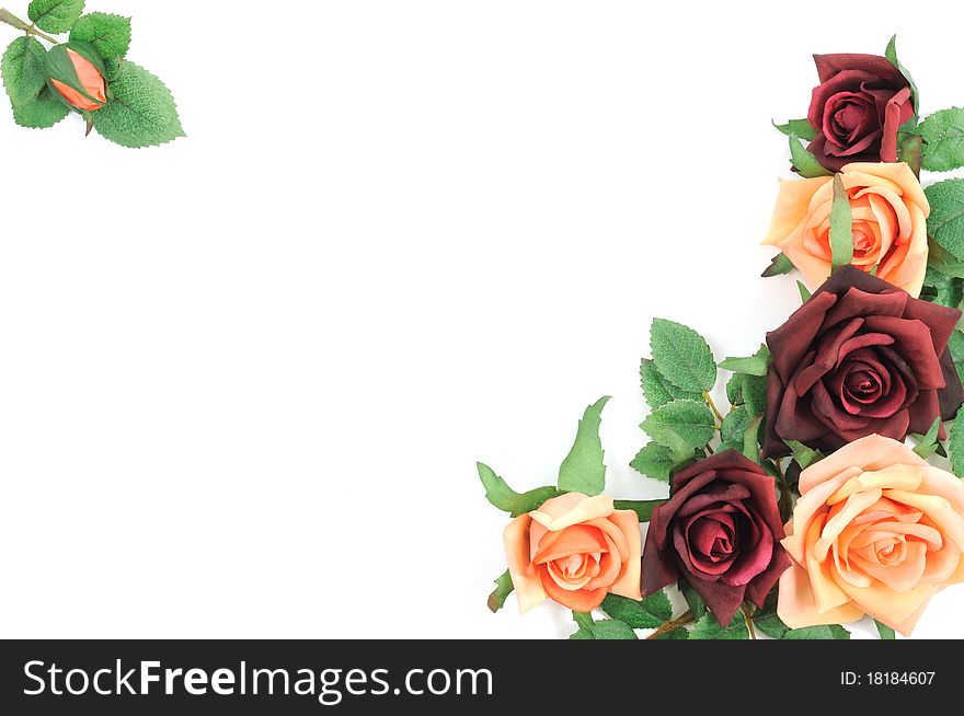 Batch of colorful roses on a white background