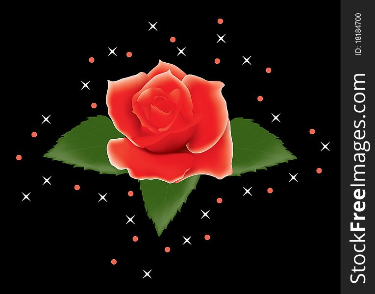 vector red rose with leaves and stars