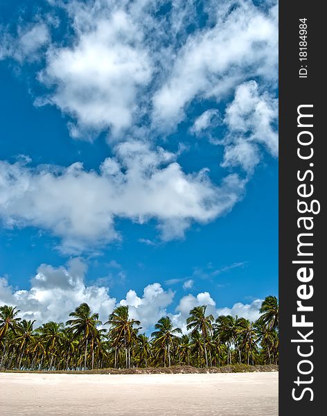 Tropical horizon of a brazilian beach