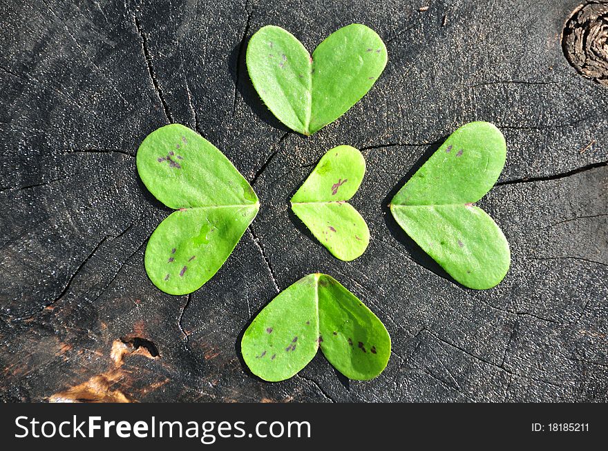 Heart shaped green clovers on black ground