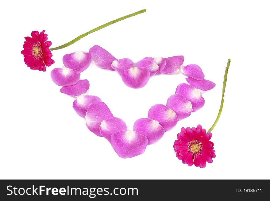 Pink petals heart with two flowers isolated on white