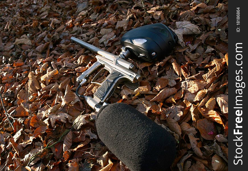 Silver paintball gun in dry leaves.