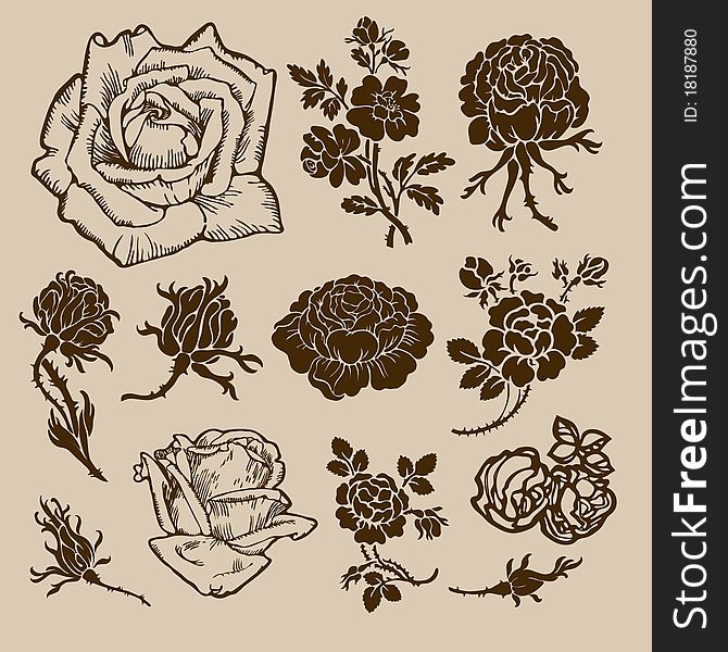 Set of decorative various rose flowers. isolated. Set of decorative various rose flowers. isolated