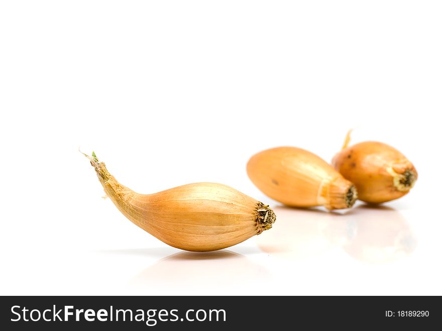 Onions Before White Background