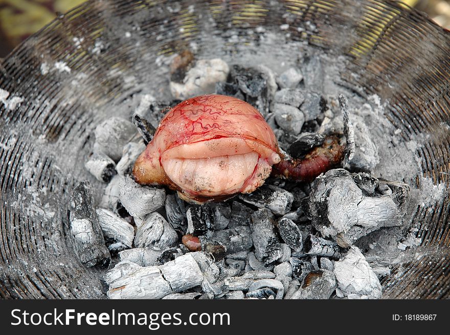 A goat's testicle cooking on hot coals in Mali. A goat's testicle cooking on hot coals in Mali