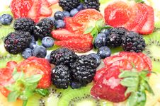 Fruit Tart Stock Photography