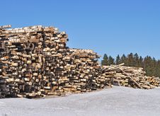 Pile Of Birch Logs Stock Images Pile Of Birch Logs Stock Images