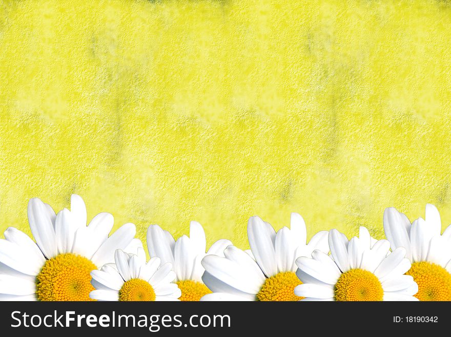 Background rustic yellow with daisies. Background rustic yellow with daisies