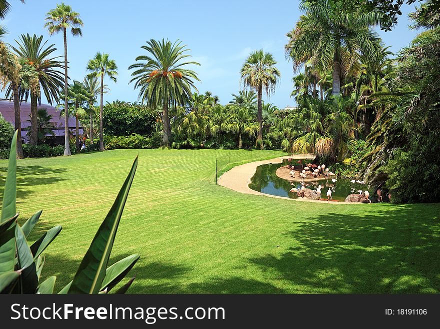 Beautiful Park With Flamingo.