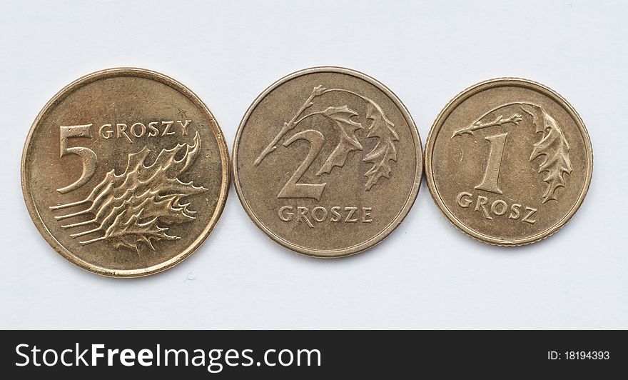 Coins of polish currency zloty