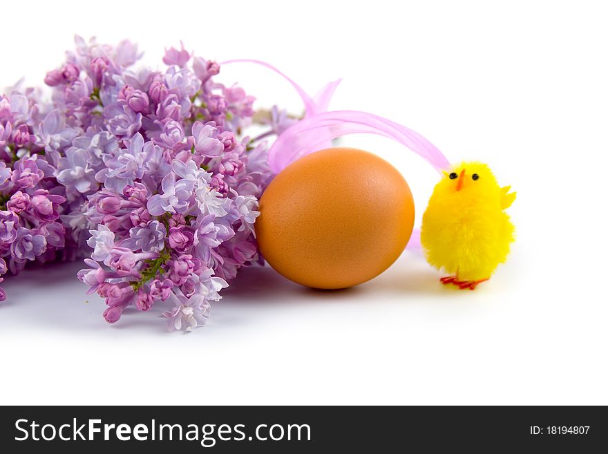 Easter egg, chicken and lilac on a white background