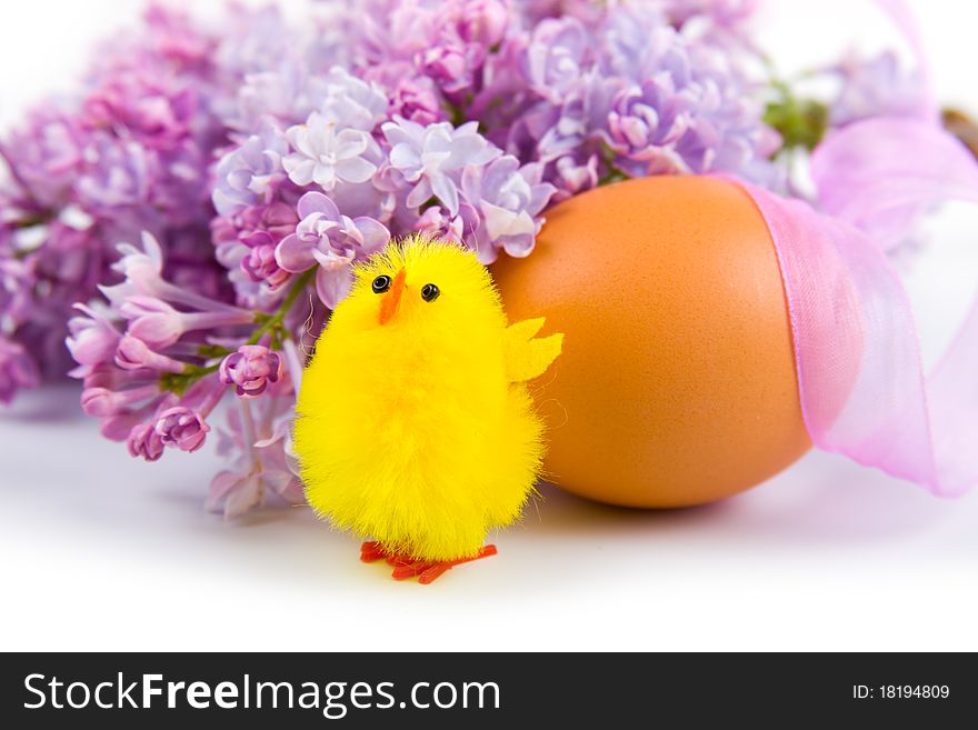 Easter egg, chicken and lilac on a white background