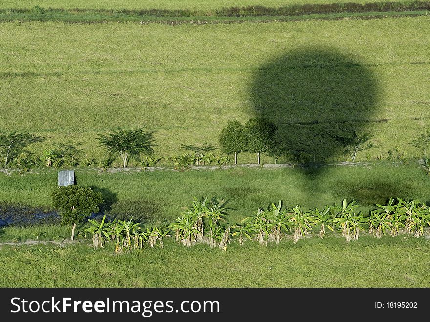 Shadow  At Hot Air Balloon Above.