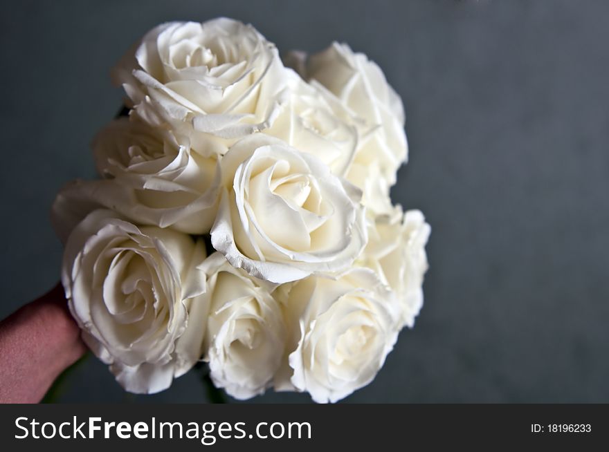 Bouquet of white roses held by a hand on a gray background