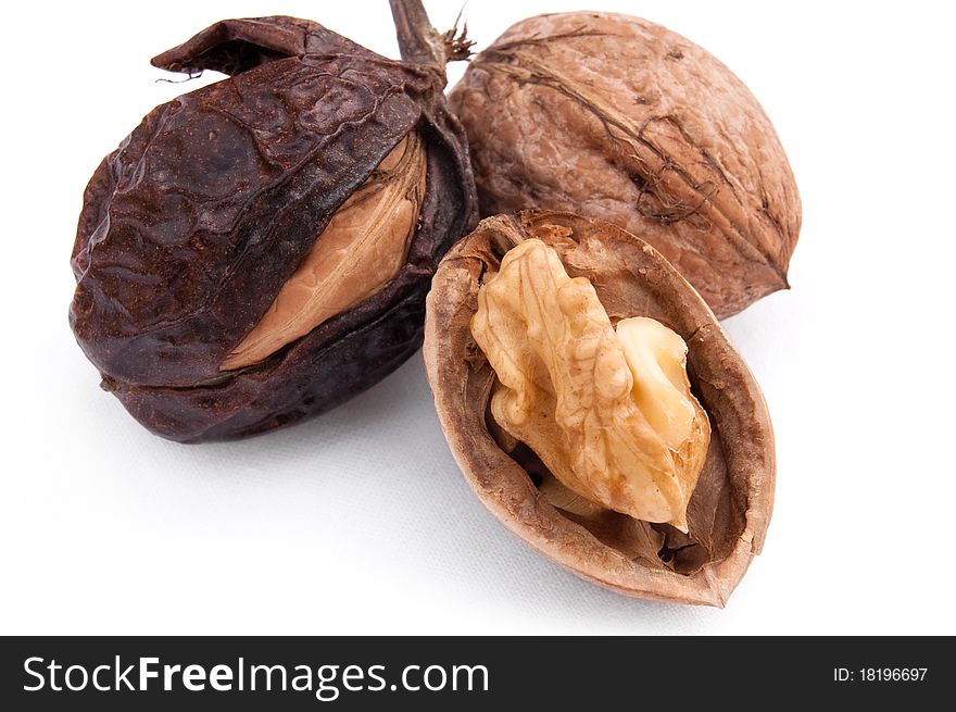 Walnut in the skin on a white background