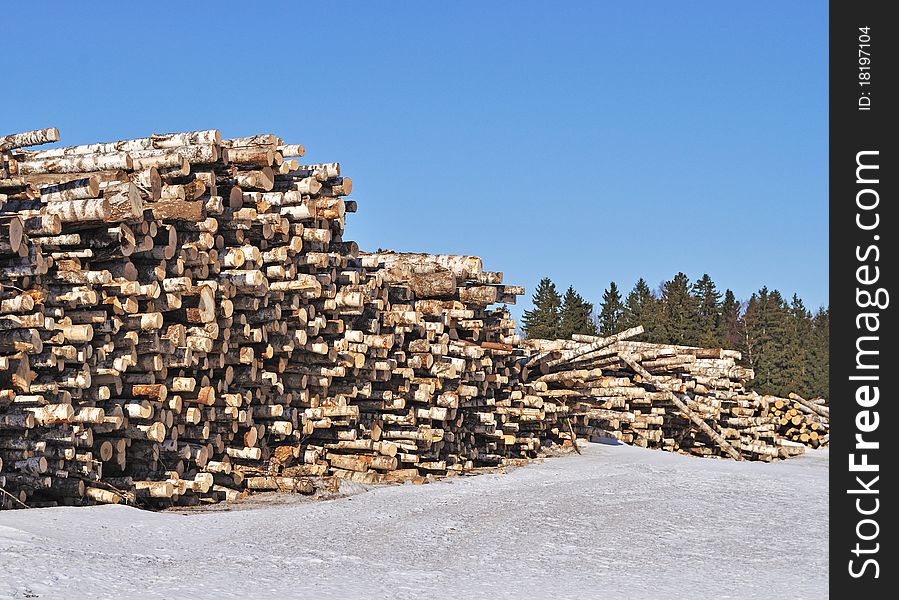 Birch log's pile at forest edge in winter time. Birch log's pile at forest edge in winter time