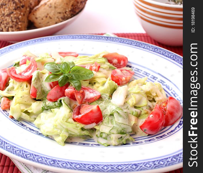 Fresh salad with tomatoes on a plate