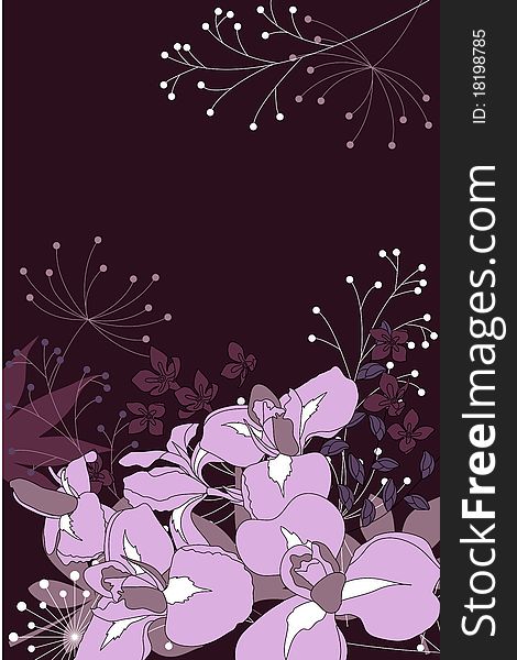 Dark floral background with contour irises and plants. Dark floral background with contour irises and plants