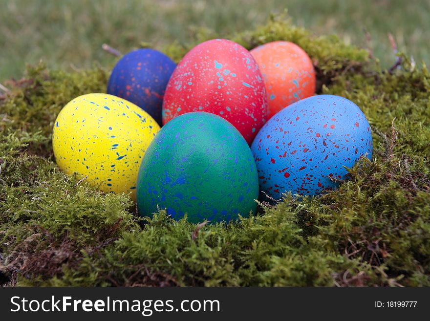 Colored  eggs nest on grass. Colored  eggs nest on grass