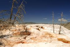 Mammoth Hot Springs Stock Images