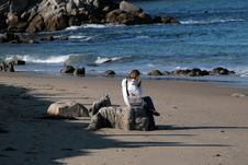 Sitting At The Beach Royalty Free Stock Image Sitting At The Beach Royalty Free Stock Image