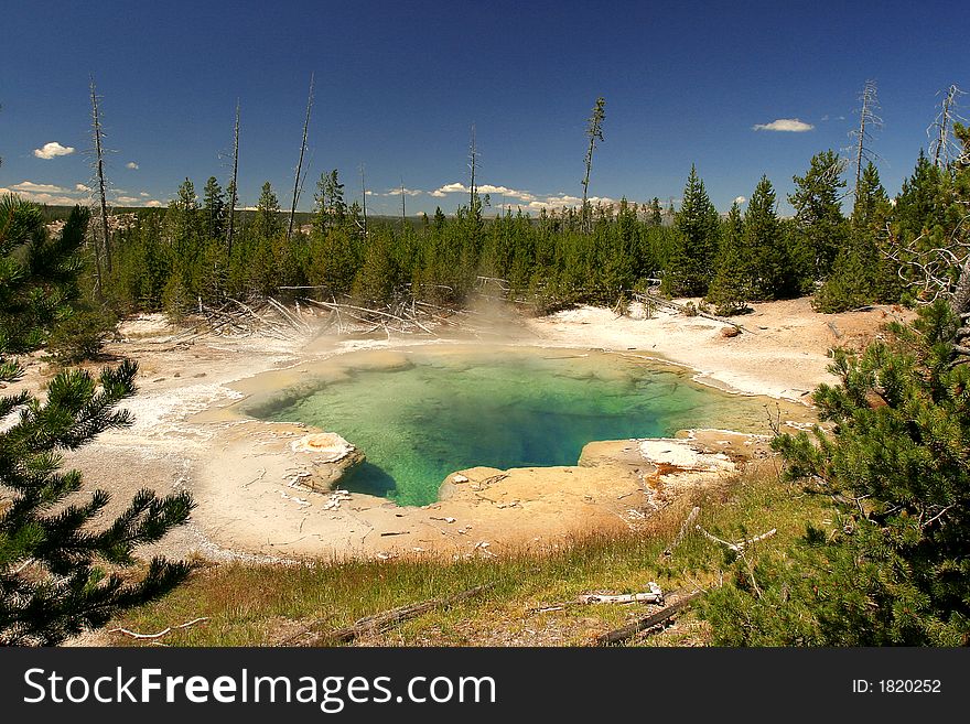 Emerald Spring, hotspring in Yellowstone National Park